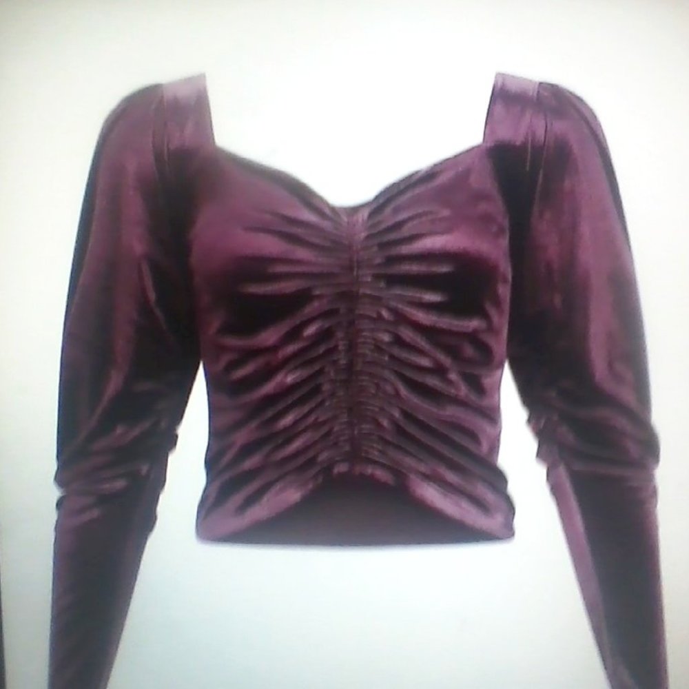 Express Velvet Ruched Top